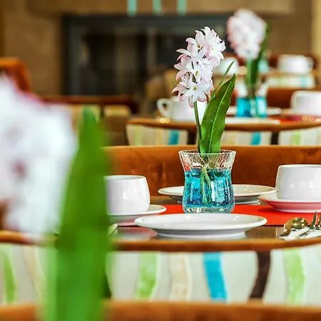 Hotel Perea *